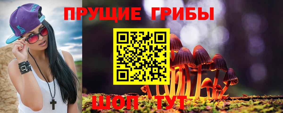 Галлюциногенные грибы прущие грибы  Вход с VPN  Псилоцибиновые грибы ЛСД  Орск 